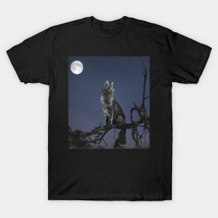 Who stole the night? T-Shirt